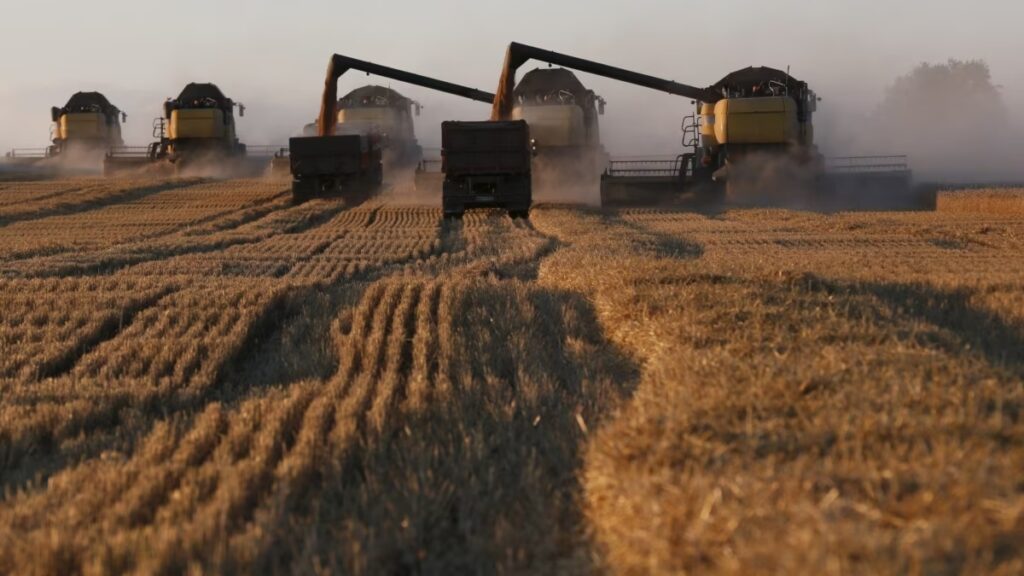 Agrotrading under martial law