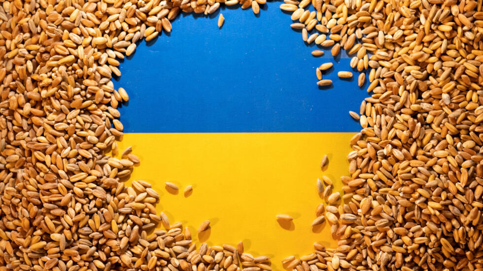 Ukraine remains the leader in grain supply to the EU