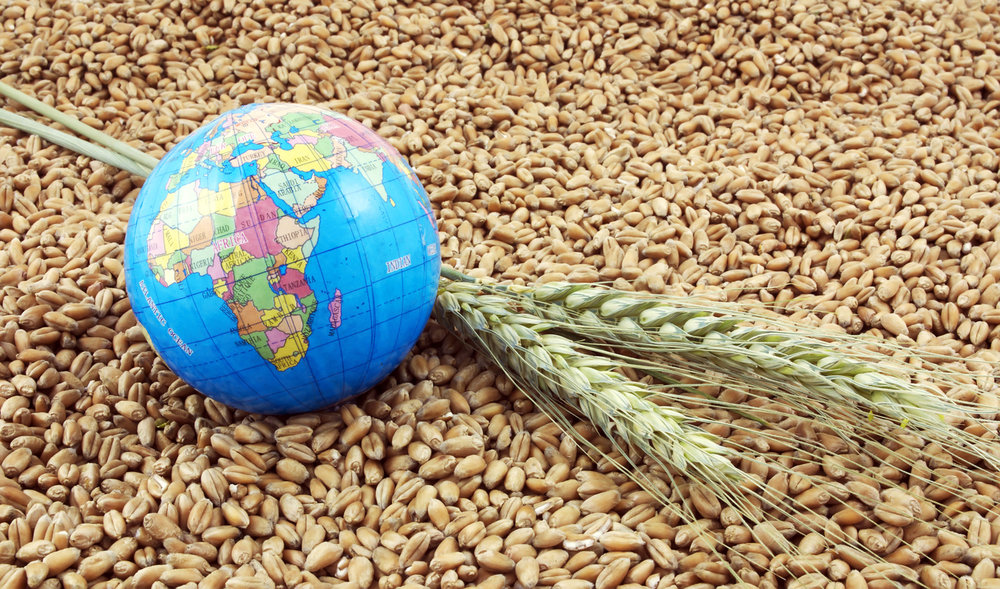 The war in Ukraine is adjusting the grain export routes
